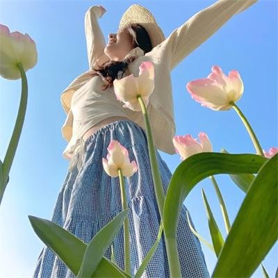 红楼梦第六部